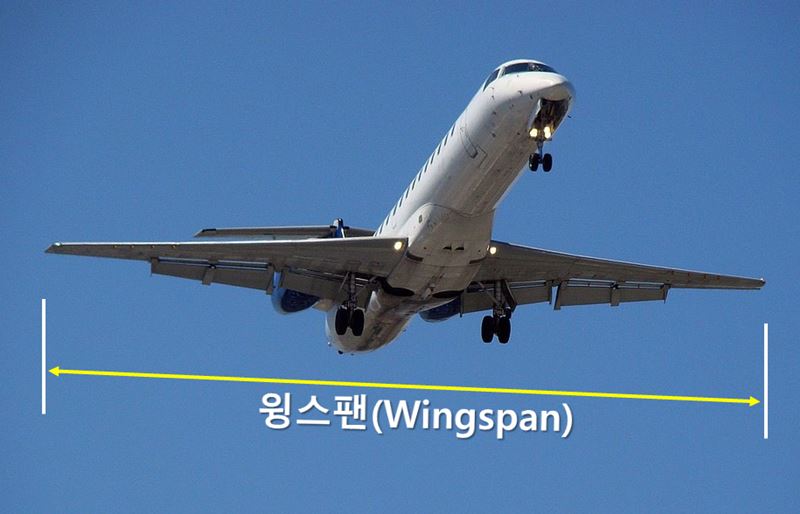 파일:Wingspan.jpg